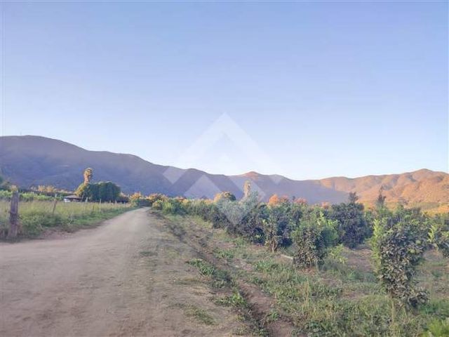 PARCELA Chiñigue Las Rosas