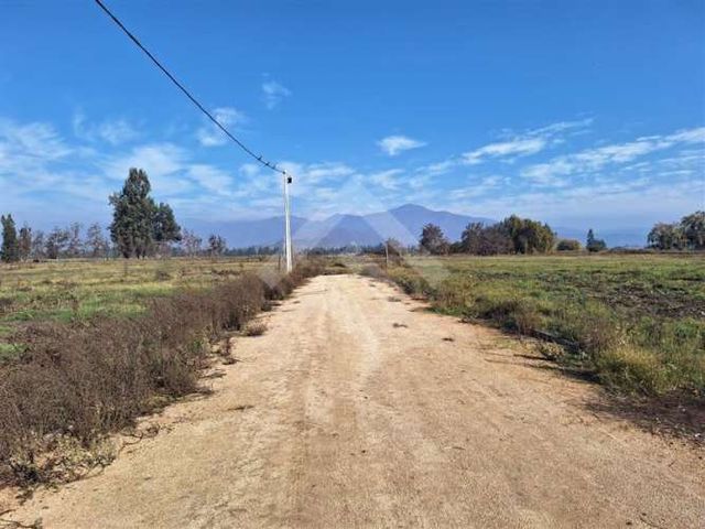 PARCELA Carampangue Colegio Trebulco