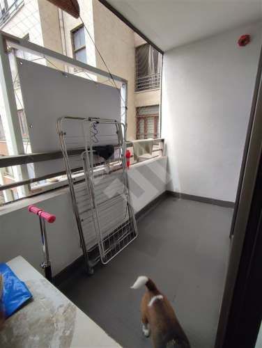 DEPARTAMENTO Armando moock/Macul