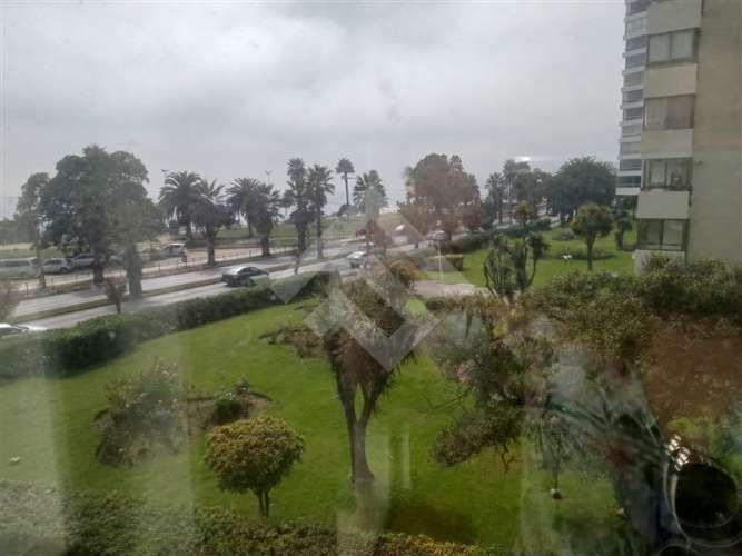 DEPARTAMENTO san Martin