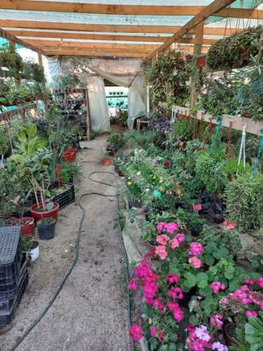 CASA Camino Publico Campiche