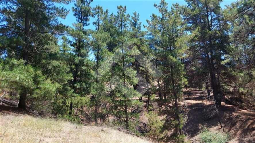 PARCELA Valle Alegre