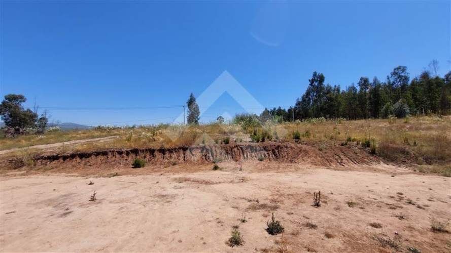 PARCELA Valle Alegre