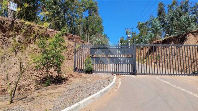 PARCELA Valle Alegre