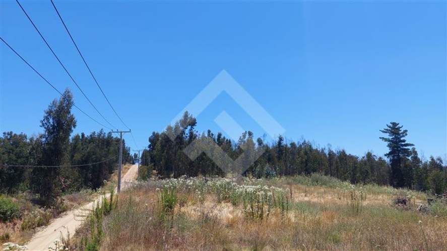 PARCELA Valle Alegre