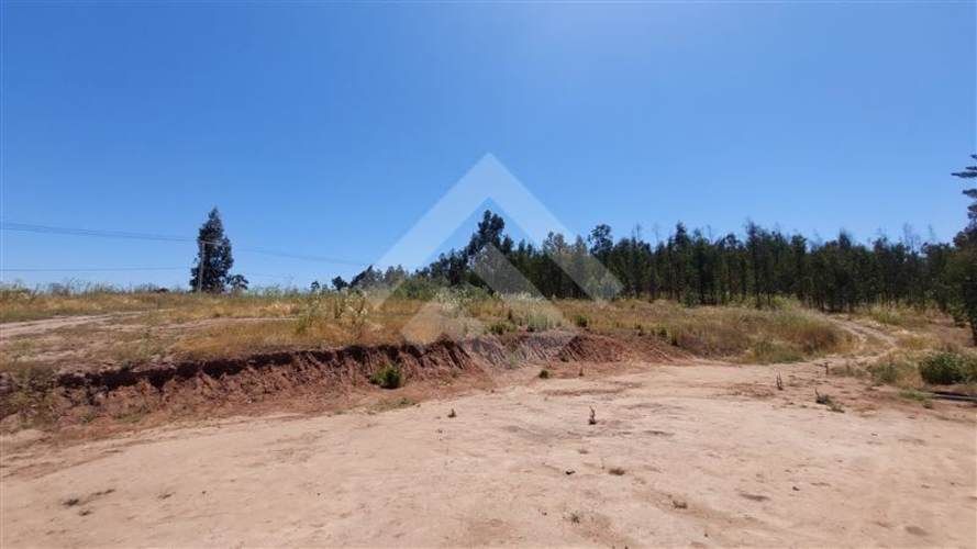 PARCELA Valle Alegre