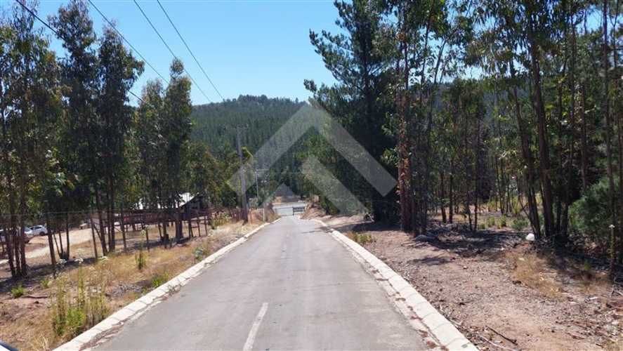 PARCELA Valle Alegre