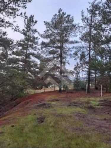 PARCELA Valle Alegre