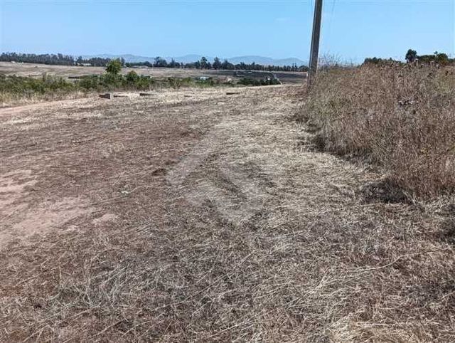 TERRENO CONSTRUCCION Parcelación Campus del Mar