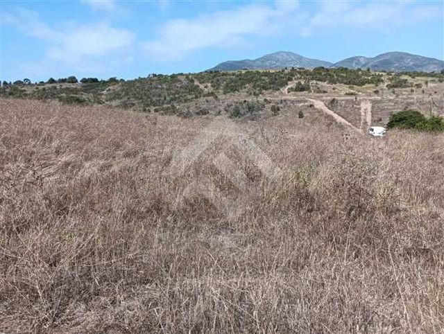 PARCELA Parcelacion Campus del Mar