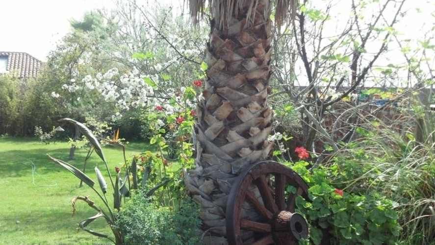 LOCAL COMERCIAL Las Vertientes