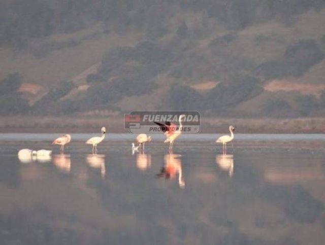 TERRENO CONSTRUCCION El Convento