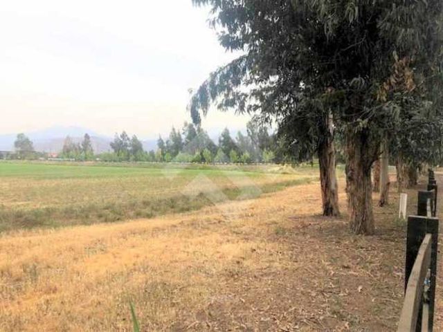 SITIO Chicureo Centro