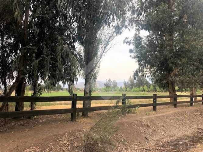 SITIO Chicureo Centro