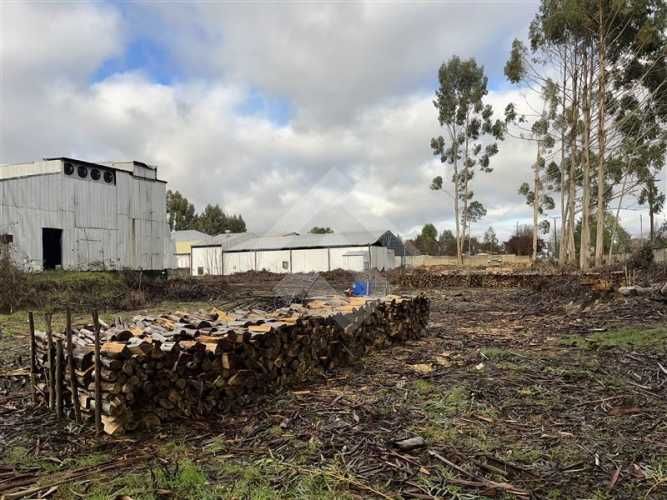 INDUSTRIAL Ruta V -60