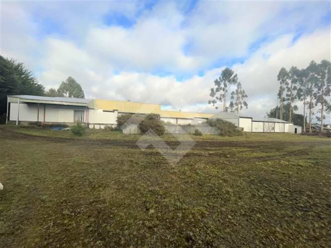 INDUSTRIAL Ruta V -60