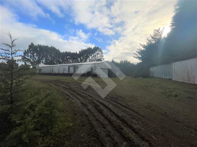 INDUSTRIAL Ruta V -60