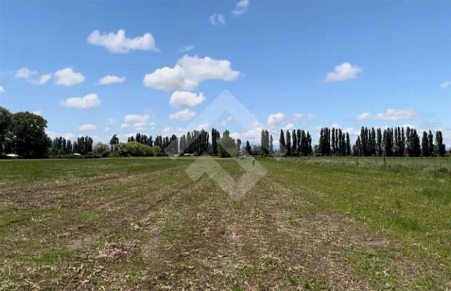 AGRICOLA camino a Catillo