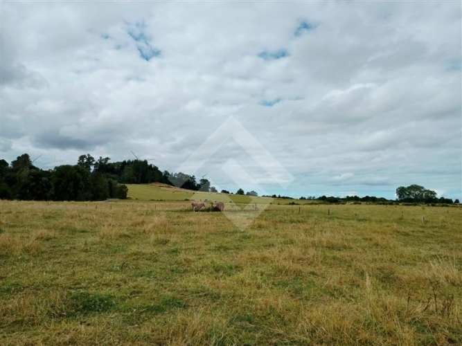 PARCELA sector Loncotoro