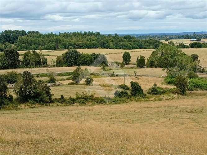 PARCELA sector Loncotoro