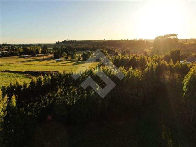 PARCELA sector Loncotoro