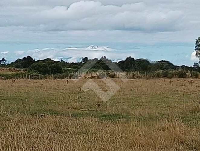 PARCELA sector Loncotoro