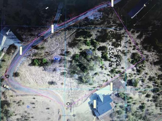 SITIO camino a Coñaripe