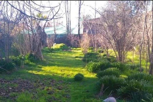 SITIO Baquedano con Riquelme