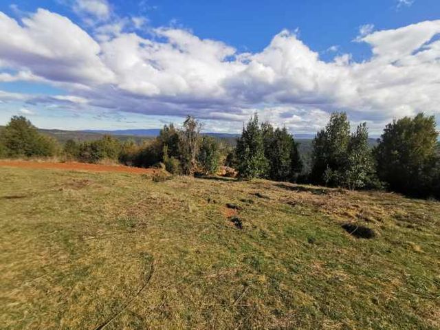 Paquete Completo: Loteo Aprobado de 8 Parcelas + Alta Proyección