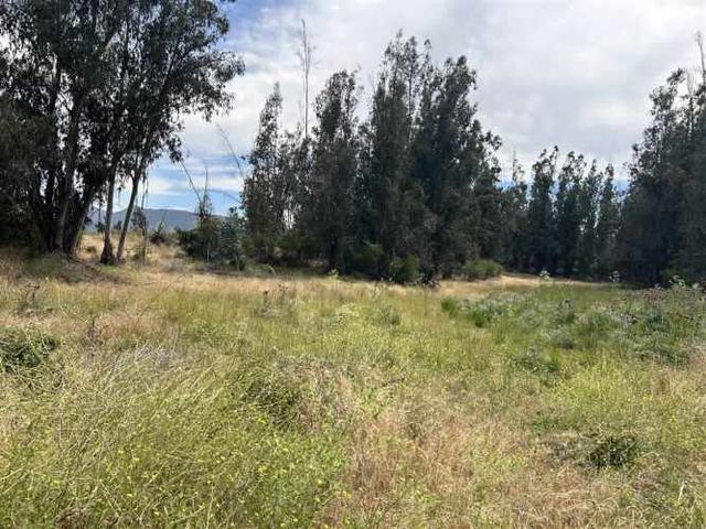 PARCELA SAN JUAN DE POPETA