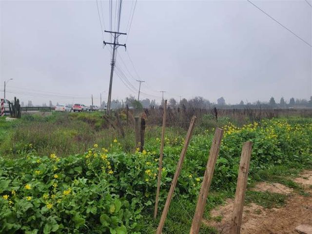 PARCELA RUTA 74 F Camelias s n