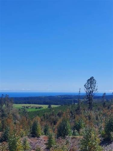 PARCELA Cardonal de Panilonco, Pichilemu
