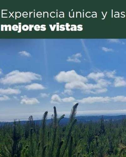 PARCELA Cardonal de Panilonco