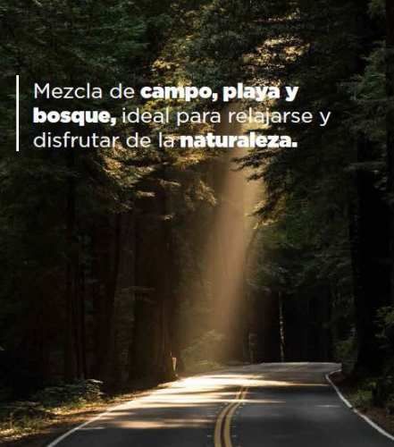 PARCELA Cardonal de Panilonco