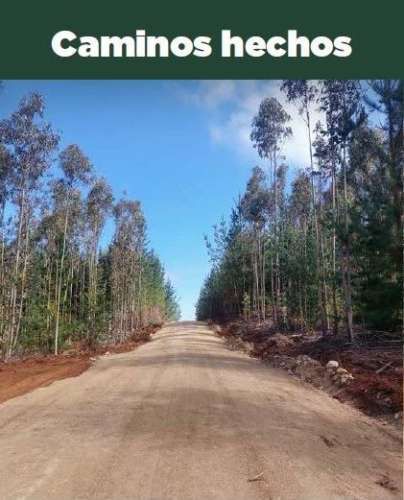 PARCELA Cardonal de Panilonco