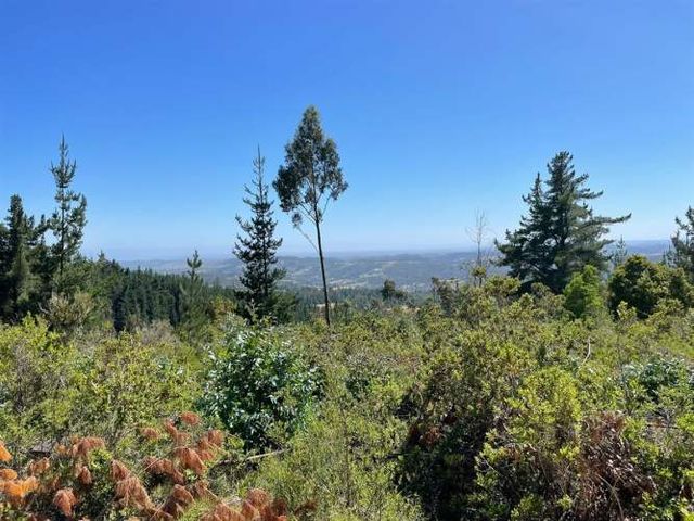 PARCELA Tuman, Matanzas