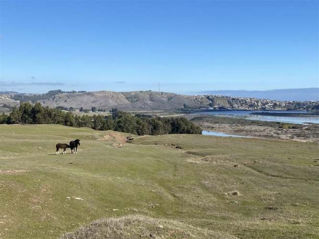 PARCELA Culenar, navidad
