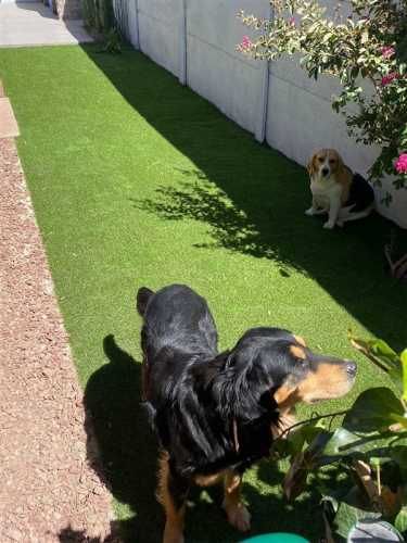 CASA Orlando Olguin 136, buin