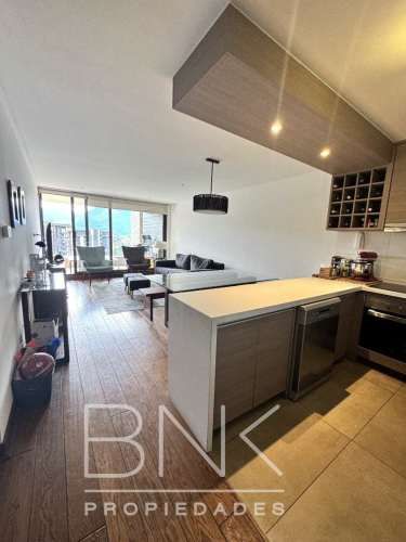 DEPARTAMENTO Parque Pinares Pucón