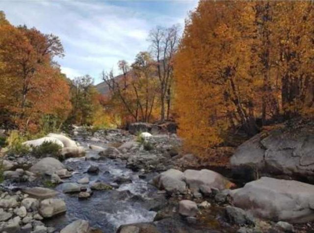 AGRICOLA Sector Curillinque