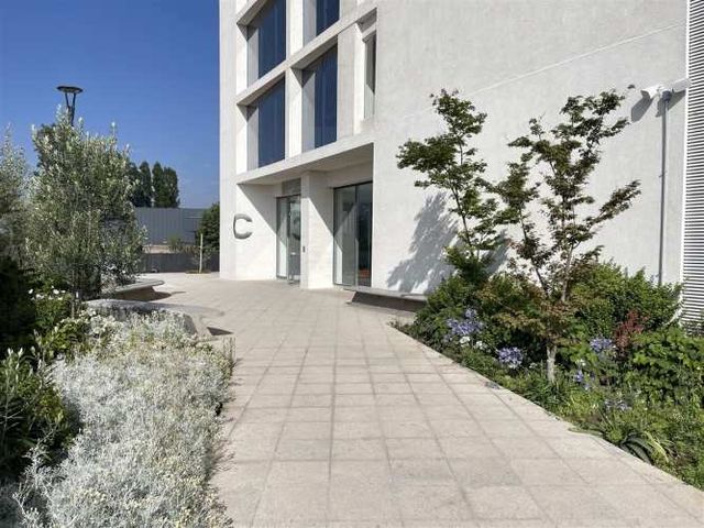 OFICINA puertas de chicureo