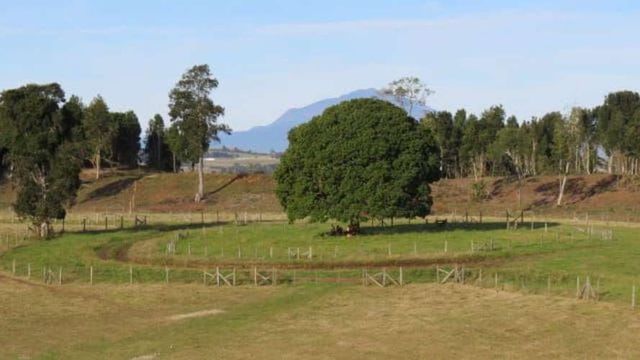 SITIO CAMINO LONCOTORO KM 13