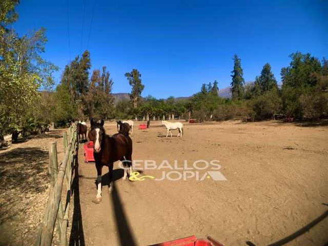 PARCELA sector Ocoa, Hijuelas