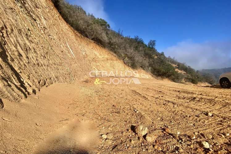 PARCELA Los Perales, Quilpué.