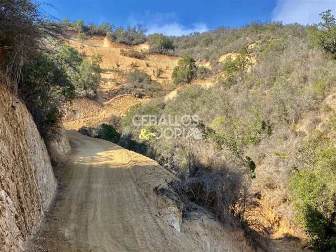 PARCELA Los Perales, Quilpué.