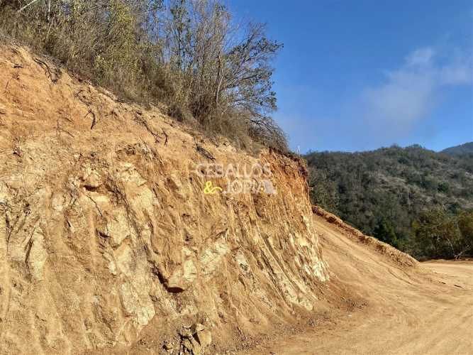 PARCELA Los Perales, Quilpué.