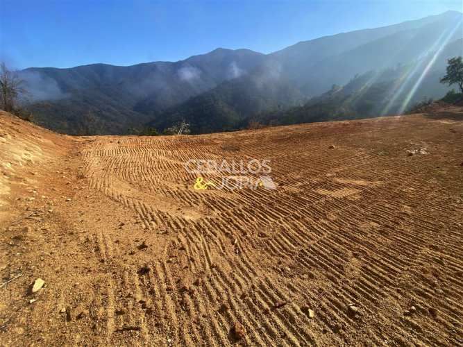 PARCELA Los Perales, Quilpué.