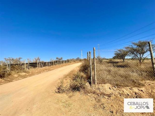 PARCELA Los Borriqueros, Limache