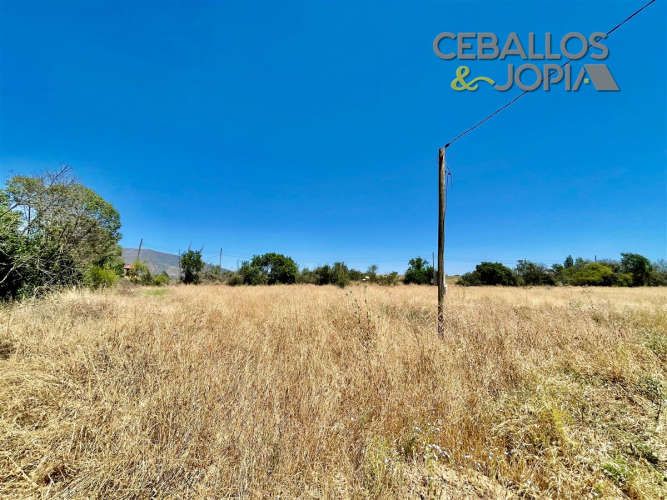 SITIO Lliu lliu, Limache