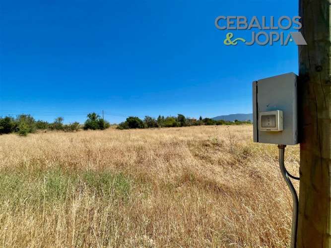 SITIO Lliu lliu, Limache